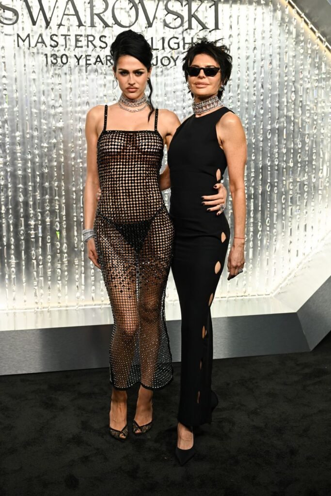 amelia-gray-sheer-dress